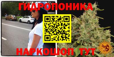 круглые Лесосибирск