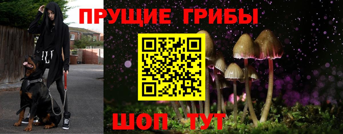 Галлюциногенные грибы мицелий Дивногорск